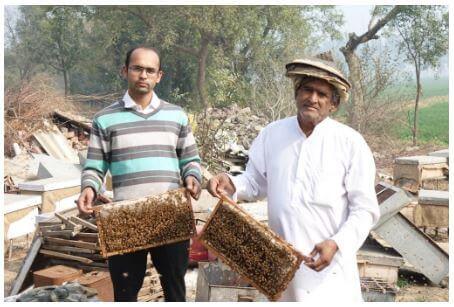 Bee_Farming