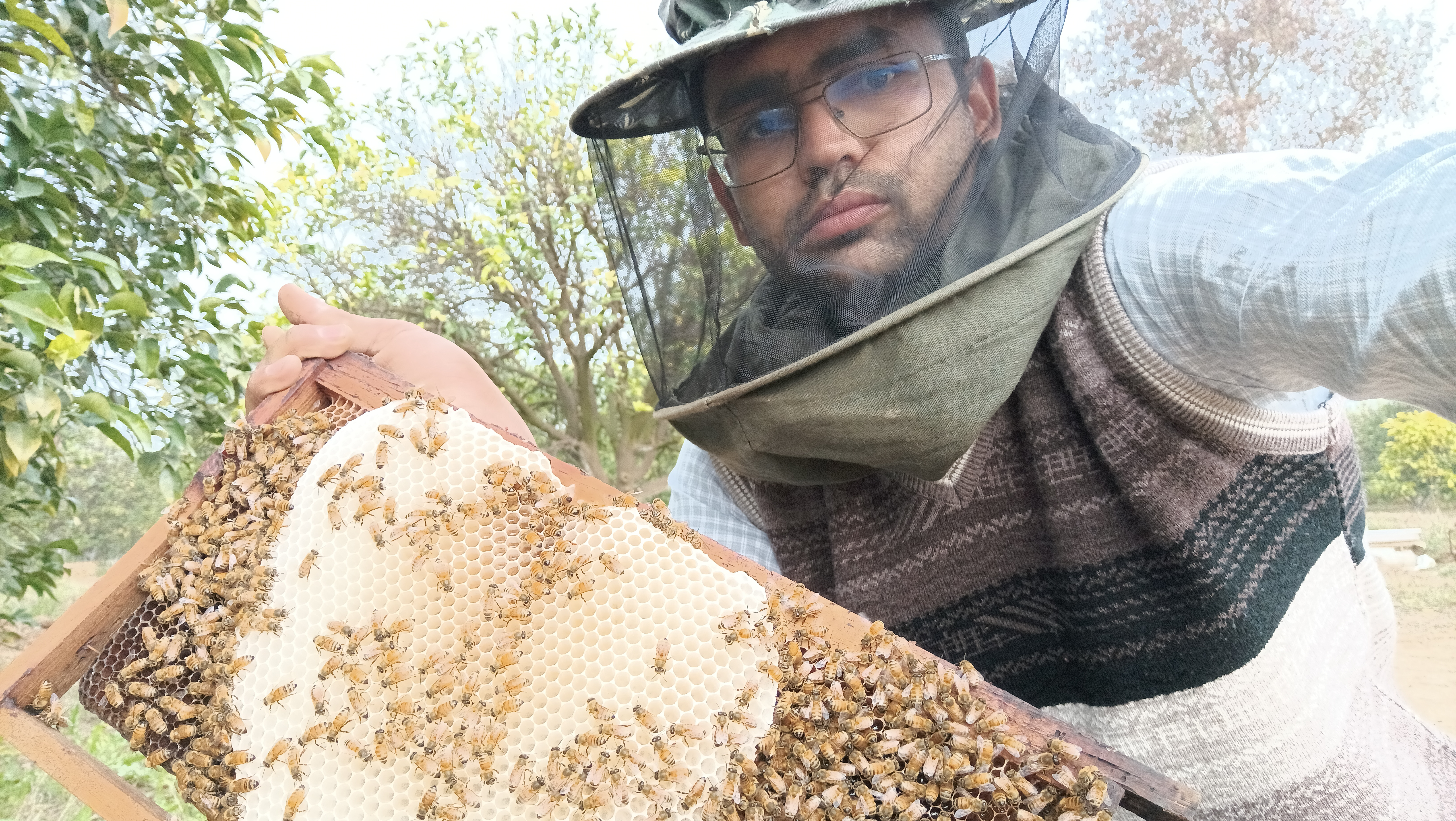 Ekta Organics honey