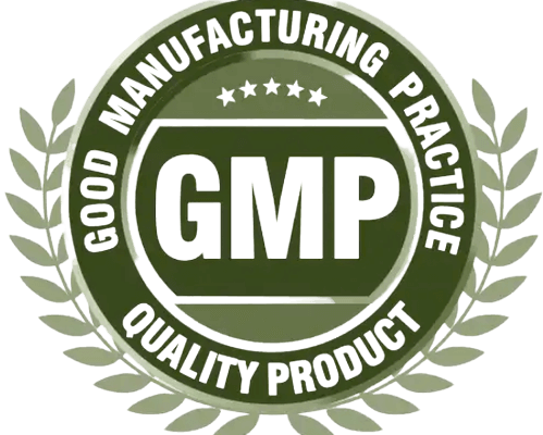 GMP LOGO